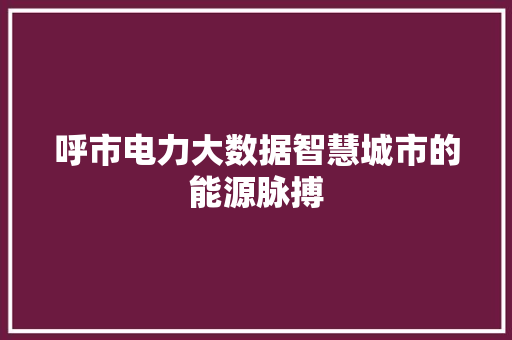 呼市电力大数据智慧城市的能源脉搏