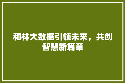 和林大数据引领未来，共创智慧新篇章 建站教程
