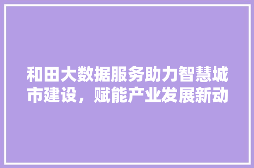 和田大数据服务助力智慧城市建设，赋能产业发展新动能 Web前端
