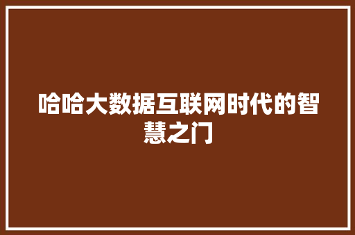 哈哈大数据互联网时代的智慧之门 WordPress教程