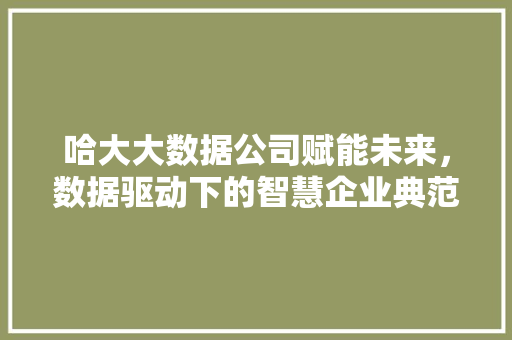 哈大大数据公司赋能未来，数据驱动下的智慧企业典范
