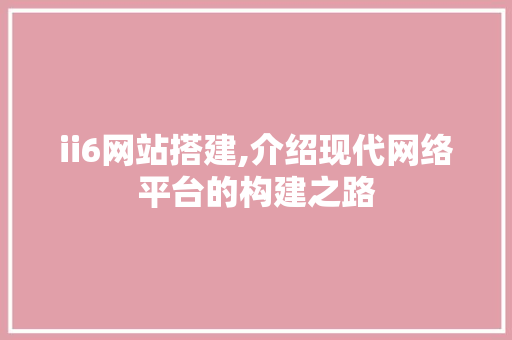 ii6网站搭建,介绍现代网络平台的构建之路