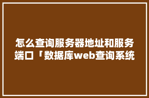 怎么查询服务器地址和服务端口「数据库web查询系统」 SEO教程