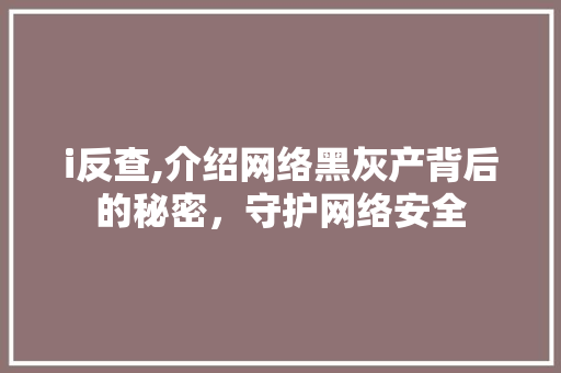 i反查,介绍网络黑灰产背后的秘密，守护网络安全