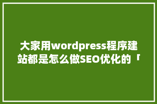 大家用wordpress程序建站都是怎么做SEO优化的「wordpress安全性」