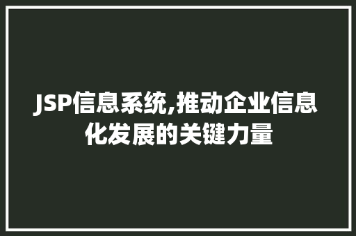 JSP信息系统,推动企业信息化发展的关键力量