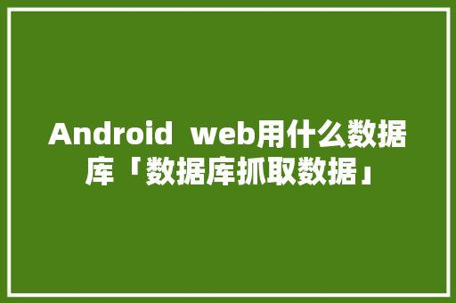 Android  web用什么数据库「数据库抓取数据」