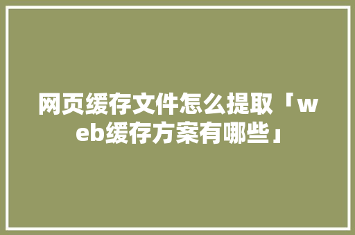 网页缓存文件怎么提取「web缓存方案有哪些」