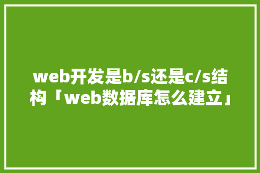 web开发是b/s还是c/s结构「web数据库怎么建立」