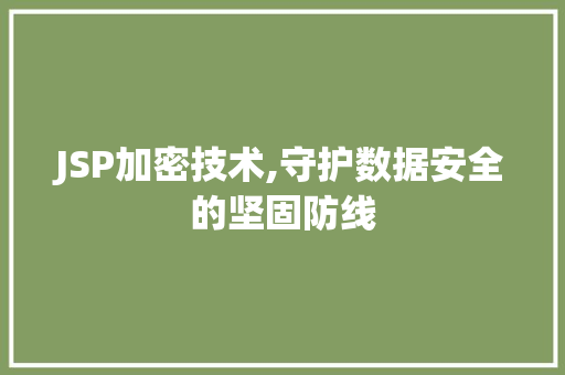 JSP加密技术,守护数据安全的坚固防线