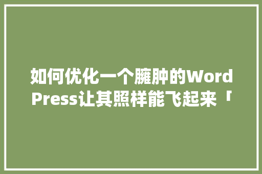 如何优化一个臃肿的WordPress让其照样能飞起来「wordpress优化seo」
