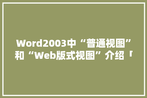 Word2003中“普通视图”和“Web版式视图”介绍「数据库视图web可视化」 友链在线