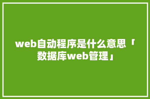 web自动程序是什么意思「数据库web管理」