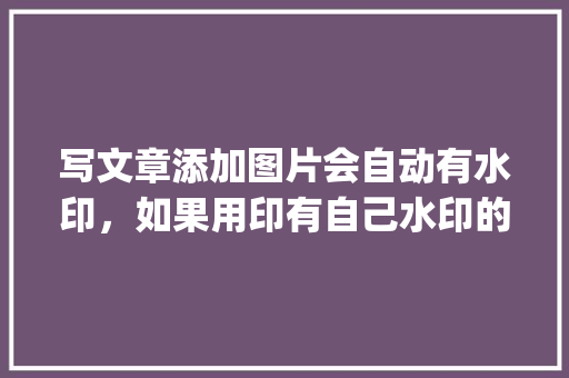 写文章添加图片会自动有水印，如果用印有自己水印的图片会有影响吗「wordpress底部版权怎么修改」 SEO教程