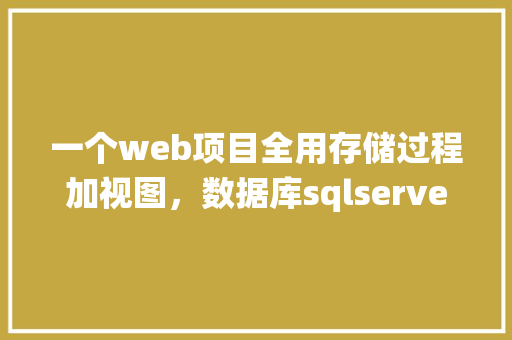 一个web项目全用存储过程加视图，数据库sqlserver，有可实施性吗「数据库web查询系统」