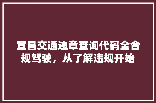 宜昌交通违章查询代码全合规驾驶，从了解违规开始