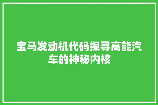 宝马发动机代码探寻高能汽车的神秘内核