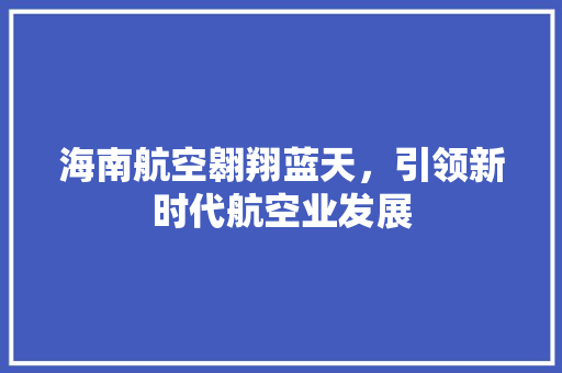 海南航空翱翔蓝天，引领新时代航空业发展 服务器/数据库