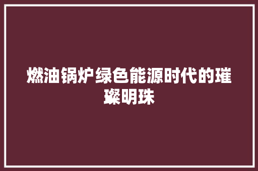 燃油锅炉绿色能源时代的璀璨明珠