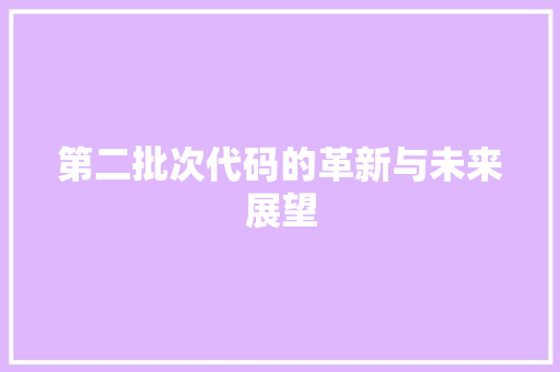 第二批次代码的革新与未来展望