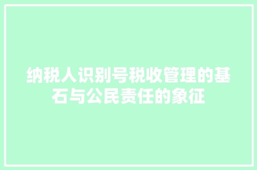 纳税人识别号税收管理的基石与公民责任的象征