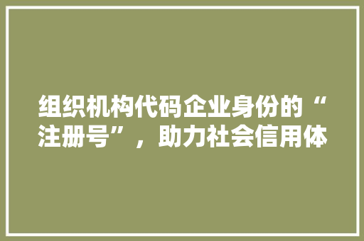 组织机构代码企业身份的“注册号”，助力社会信用体系建设