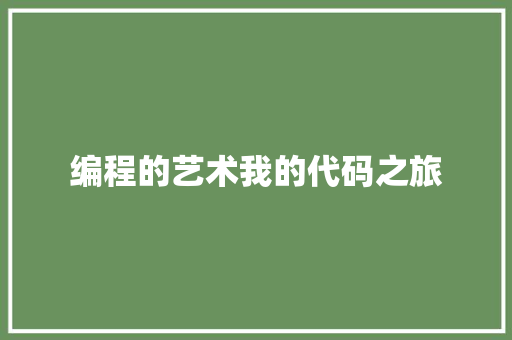 编程的艺术我的代码之旅