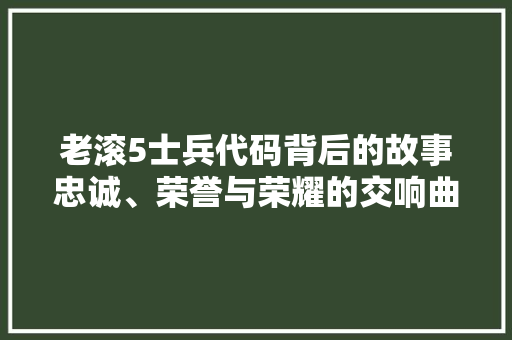 老滚5士兵代码背后的故事忠诚、荣誉与荣耀的交响曲