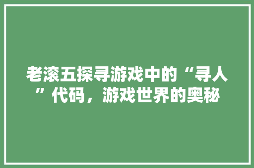 老滚五探寻游戏中的“寻人”代码，游戏世界的奥秘