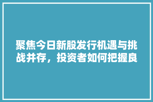 聚焦今日新股发行机遇与挑战并存，投资者如何把握良机 建站教程