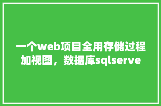 一个web项目全用存储过程加视图，数据库sqlserver，有可实施性吗「web数据库架构」 建站教程