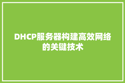 DHCP服务器构建高效网络的关键技术