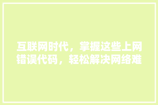 互联网时代，掌握这些上网错误代码，轻松解决网络难题 WordPress教程