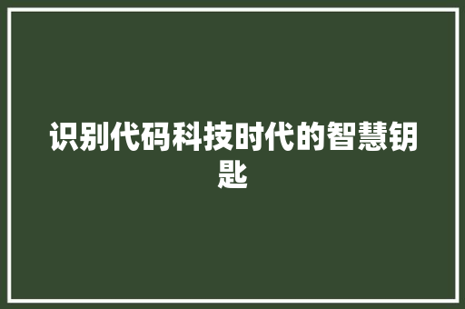 识别代码科技时代的智慧钥匙 服务器/数据库