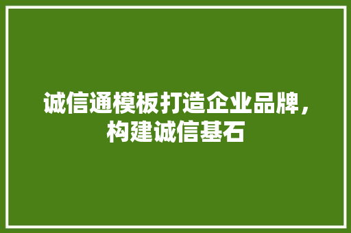 诚信通模板打造企业品牌，构建诚信基石 建站教程