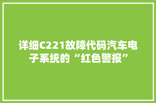 详细C221故障代码汽车电子系统的“红色警报” WordPress教程