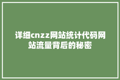 详细cnzz网站统计代码网站流量背后的秘密