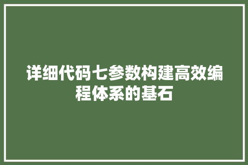 详细代码七参数构建高效编程体系的基石 SEO教程
