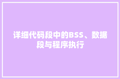 详细代码段中的BSS、数据段与程序执行 友链在线