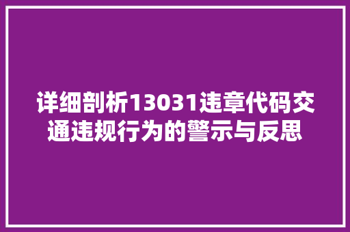 详细剖析13031违章代码交通违规行为的警示与反思