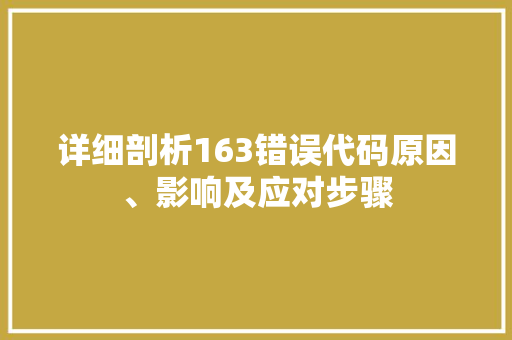 详细剖析163错误代码原因、影响及应对步骤 建站教程