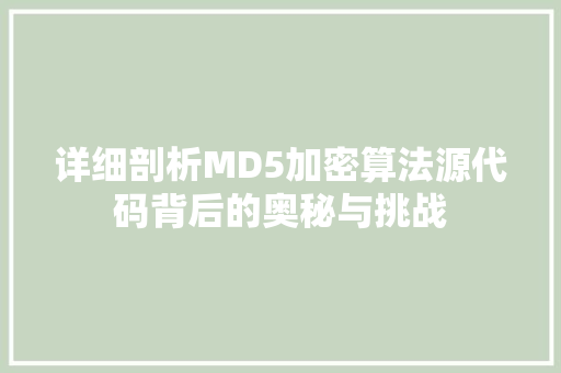详细剖析MD5加密算法源代码背后的奥秘与挑战
