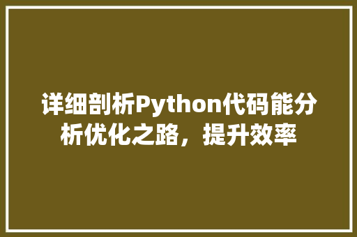 详细剖析Python代码能分析优化之路，提升效率 Web前端