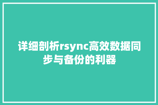 详细剖析rsync高效数据同步与备份的利器 WordPress教程