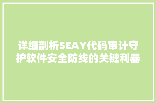 详细剖析SEAY代码审计守护软件安全防线的关键利器 WordPress教程