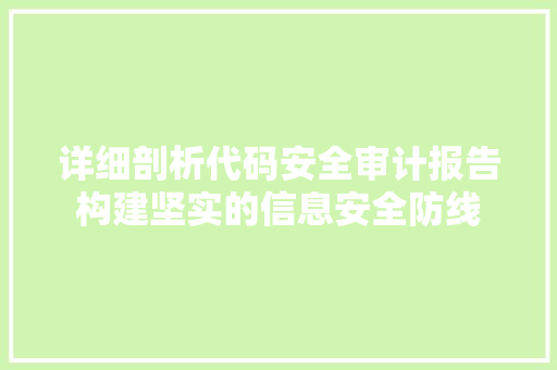 详细剖析代码安全审计报告构建坚实的信息安全防线 友链在线