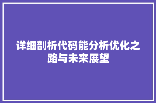 详细剖析代码能分析优化之路与未来展望 WordPress教程