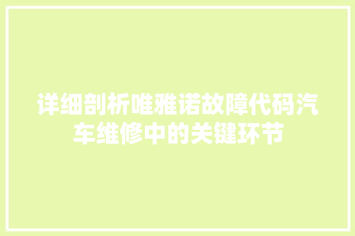 详细剖析唯雅诺故障代码汽车维修中的关键环节