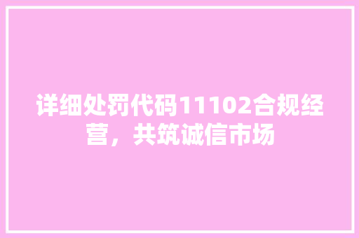 详细处罚代码11102合规经营，共筑诚信市场