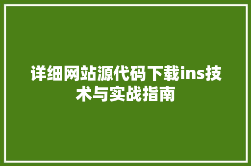详细网站源代码下载ins技术与实战指南 建站教程
